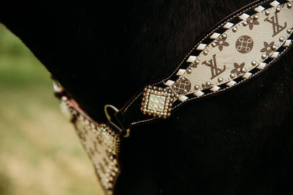 Louis Vuitton Tack Sets For Horses