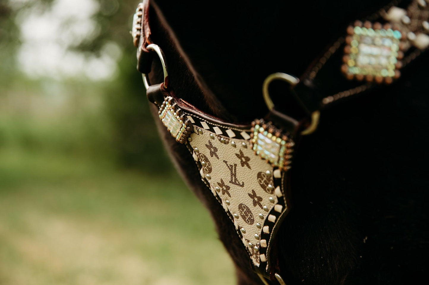 Louis Vuitton Tack Sets For Horses